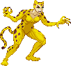Cheetah: scratch-made 2016