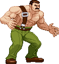 Mike Haggar: Final Fight stance