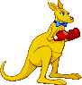 Kangaroo: scratch-made 2015