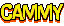 Cammy - Viz graphic novel logo