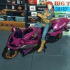Scarlet (25th Anniversary) and Arcee, taken 2007